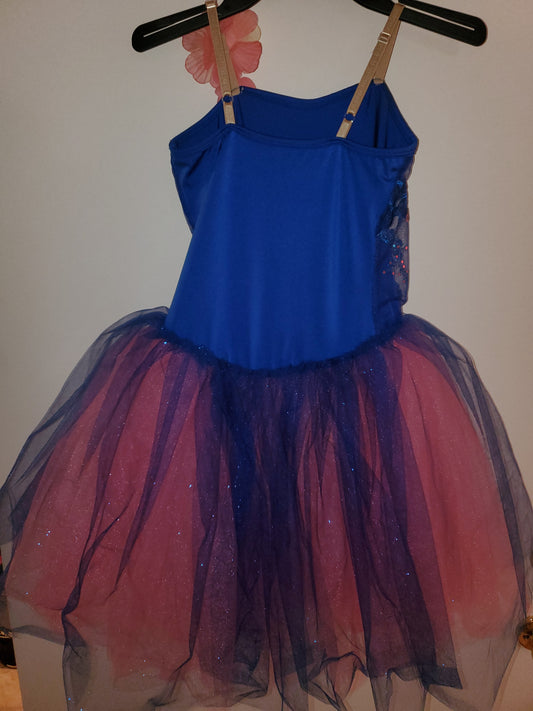 Blue/Pink Floral Sequin Ballet/Musical Theater Costume Curtain Call sz CLA