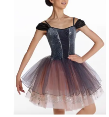 Pink/Grey Princess-cut Ballet/Musical Theater Costume - Weissman sz XSA
